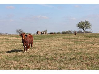 Tract 12 - LAND & MINERAL ACRES OKLAHOMA AUCTION, 588+/- Land & Producing Mineral Acres offered in 24 Tracts in Okmulgee County